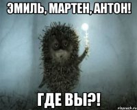 Эмиль, Мартен, Антон! Где вы?!