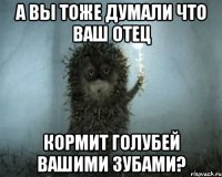 а вы тоже думали что ваш отец кормит голубей вашими зубами?