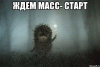 Ждем масс- старт 