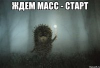 Ждем масс - старт 