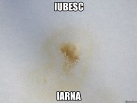 iubesc iarna