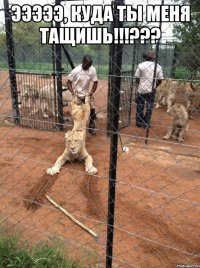 Эээээ, куда ты меня тащишь!!!??? 