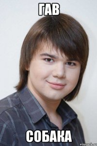 гав собака