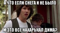 А что если снега и не было м это все нахарькал Дима?