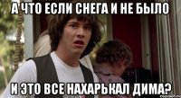 А что если снега и не было и это все нахарькал Дима?