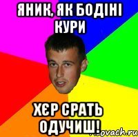 Яник, як бодіні кури хєр срать одучиш!