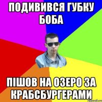 подивився губку боба пішов на озеро за крабсбургерами