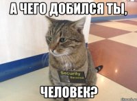 а чего добился ты, человек?