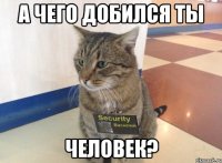 а чего добился ты человек?