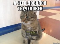 а чего добился ты,человек 