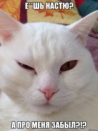 Е**шь Настю? А про МЕНЯ забыл?!?