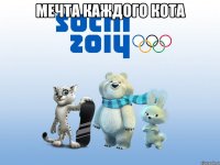 Мечта каждого кота 