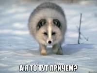  А я то тут причем?