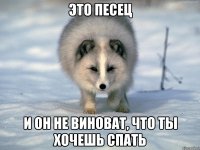 Это песец И он не виноват, что ты хочешь спать