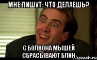 Мне пишут: что делаешь? С болкона мышей сбрасывают блин