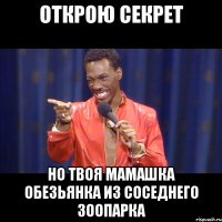 ОТКРОЮ СЕКРЕТ НО ТВОЯ МАМАШКА ОБЕЗЬЯНКА ИЗ СОСЕДНЕГО ЗООПАРКА