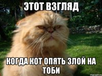 этот взгляд когда кот опять злой на тоби