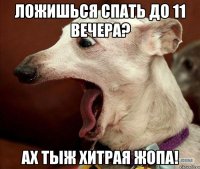 Ложишься спать до 11 вечера? АХ ТЫЖ ХИТРАЯ ЖОПА!
