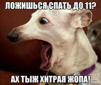 Ложишься спать до 11? АХ ТЫЖ ХИТРАЯ ЖОПА!