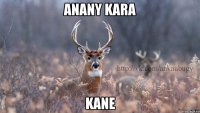 anany kara kane