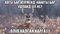 Аягы бар журмейд, канаты бар ушпайд. ОЛ НЕ? ОЛIП КАЛГАН КАРГА)))