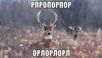 рпропорпор орлорлорл