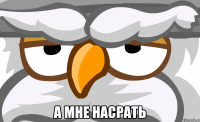  а мне насрать