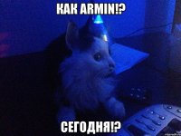 Как Armin!? Сегодня!?