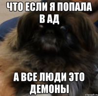 Что если я попала в АД А все люди это демоны