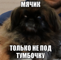 мячик только не под тумбочку