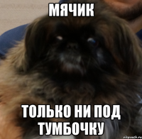 мячик только ни под тумбочку