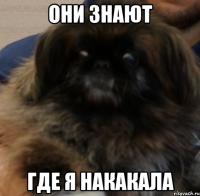 они знают где я накакала