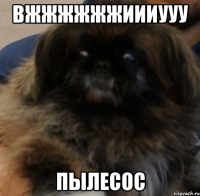 вжжжжжжиииууу пылесос