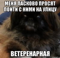 меня ласково просят пойти с ними на улицу ветеренарная