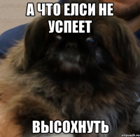а что елси не успеет высохнуть