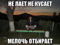 не лает не кусает мелочь отбирает
