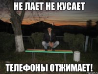 Не лает не кусает телефоны отжимает!