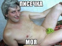 Писечка Моя