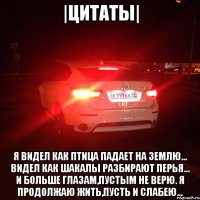 |Цитаты| Я видел как птица падает на землю... Видел как шакалы разбирают перья... И больше глазам,пустым не верю. Я продолжаю жить,пусть и слабею...