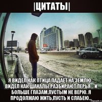|Цитаты| Я видел как птица падает на землю... Видел как шакалы разбирают перья... И больше глазам,пустым не верю. Я продолжаю жить,пусть и слабею...