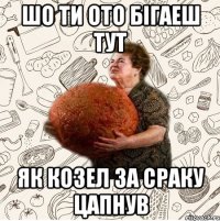 ШО ТИ ОТО БІГАЕШ ТУТ ЯК КОЗЕЛ ЗА СРАКУ ЦАПНУВ