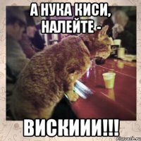 А нука киси, налейте - вискиии!!!
