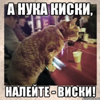 А нука киски, налейте - виски!