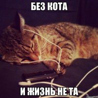 БЕЗ КОТА И ЖИЗНЬ НЕ ТА