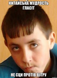 китайська мудрость гласіт не сци протів вітру