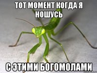 Тот момент когда я ношусь с этими БОГОМОЛАМИ