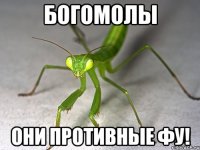 Богомолы они противные фу!