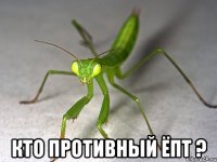 Кто противный ёпт ?