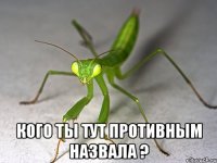  Кого ты тут противным назвала ?