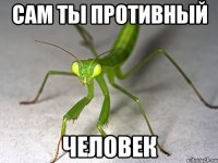 Сам ты противный человек
